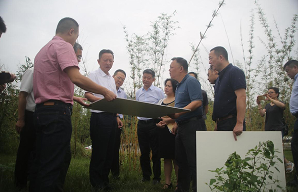 市委常委劉守成同志調研“國賓片區”市政公園及配套設施建設推進情況